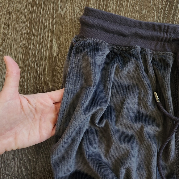 Daniel Buchler Velour Lounge Jogger Pants Size Small NWT - Picture 7 of 11
